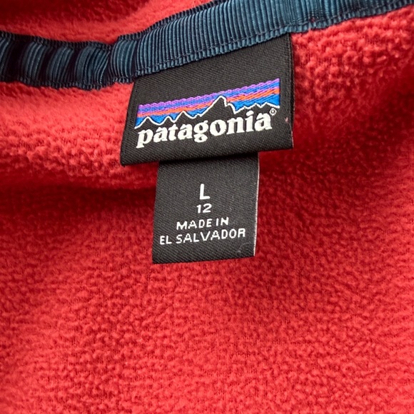 Patagonia Kids' Two-Tone Fleece Jacket - Picture 3 of 4
